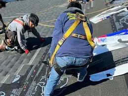Portfolio roofing